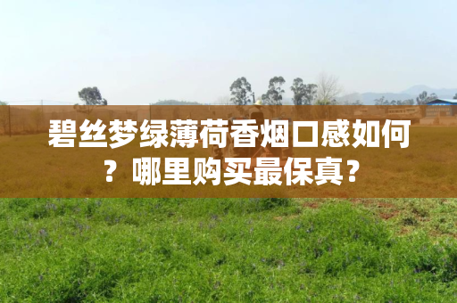 碧丝梦绿薄荷香烟口感如何？哪里购买最保真？